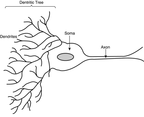 graphics/19fig03.gif