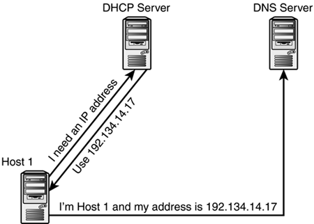 graphics/11fig08.gif