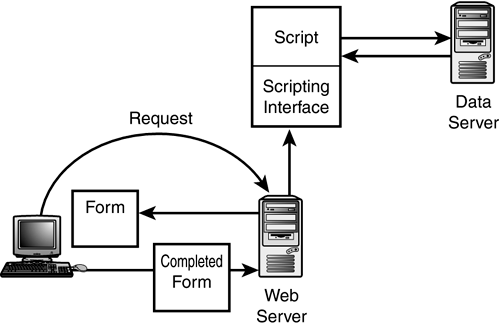 graphics/17fig06.gif